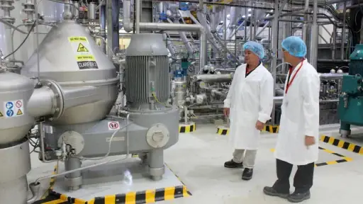 Hoa Cúng Rằm Tháng Giêng: 5 Lựa Chọn Hút Tài Lộc, May Mắn Cho Năm Mới