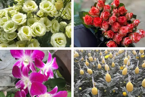 Top 12+ Loại Hoa Cúng Thôi Nôi Bé Trai: Ý Nghĩa Phong Thủy & Cách Chọn Chuẩn Nhất