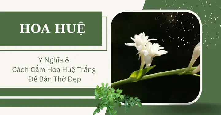 Ý Nghĩa Hoa Huệ & Cách Cắm Hoa Huệ Trắng Để Bàn Thờ Đẹp ...