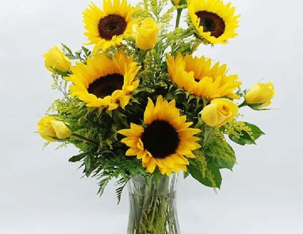 Hoa Hướng Dương Cúng Được Không? Giải Đáp Chi Tiết Và Ý Nghĩa Tâm Linh