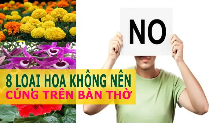 Hoa Lan Có Cúng Được Không? Giải Đáp Ý Nghĩa Tâm Linh Và Các Quy Tắc Cần Nhớ