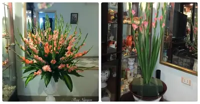 Hoa Lay Ơn Có Cúng Được Không? Ý Nghĩa Và Những Lưu Ý Khi Sử Dụng