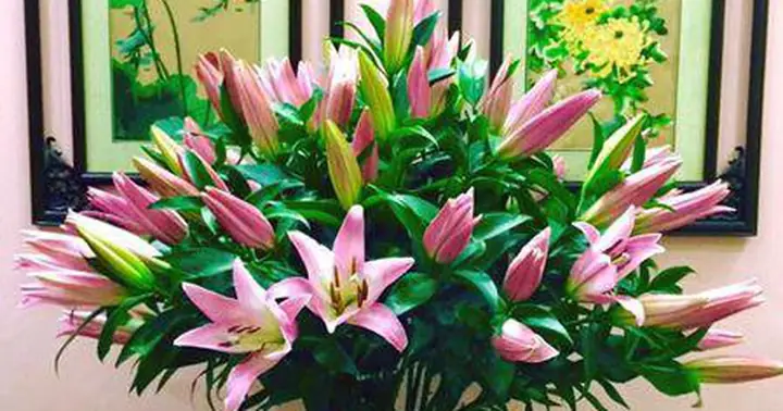 Ý Nghĩa Hoa Ly Trong Thờ Cúng Và Những Lưu Ý Quan Trọng