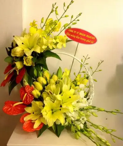 Hoa Ly Có Được Chọn Làm Hoa Khai Trương?