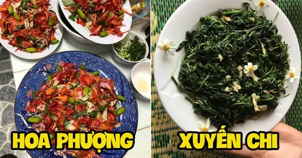 Ai Cũng Bất Ngờ Khi Biết 3 Loài Hoa Ăn Được Này, Lại Còn Là Đặc Sản