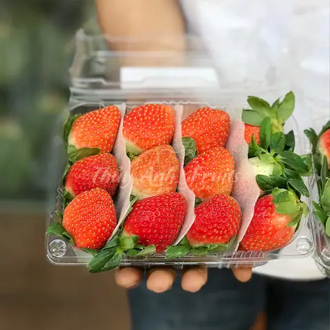 Dâu Tây Hàn Quốc Chuẩn Chất Lượng - Hoa Quả Nhập Khẩu Thủy ...