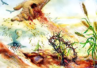 Sinh Hoa Kết Quả (16.07.2023 – Chúa Nhật 15 Tn, Năm A)