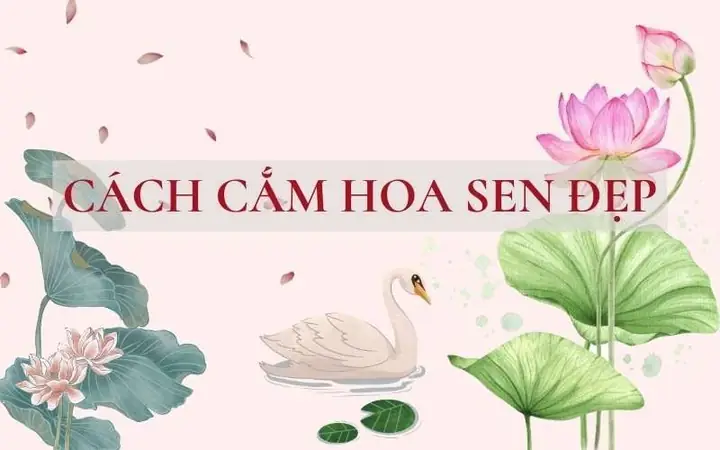 20+ Mẫu Cắm Hoa Sen Cúng Phật Đẹp, Tươi Lâu & Ý Nghĩa Tâm Linh