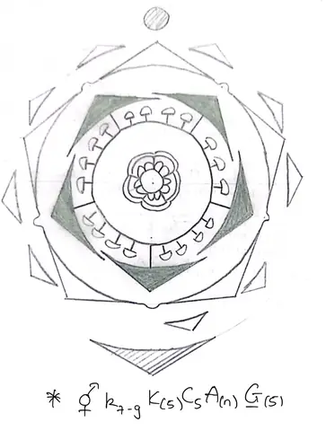 Hoa Thức Hoa Đồ Bài Kiểm Tra