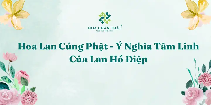 Hoa Lan Cúng Phật - Ý Nghĩa Tâm Linh Của Lan Hồ Điệp