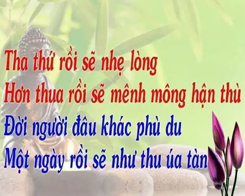 68 Lời Phật Dạy Về Cuộc Sống Giúp Buông Xả Mọi Phiền Não - Tinmoi
