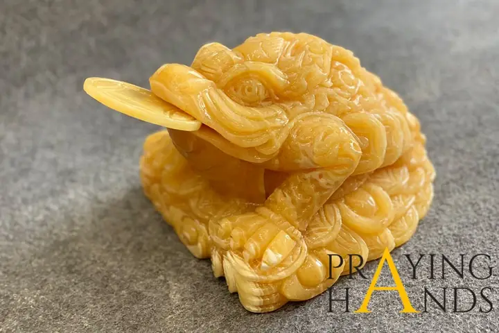 Hướng Dẫn Cách Thờ Cúng Cóc Thiềm Thừ Phong Thủy