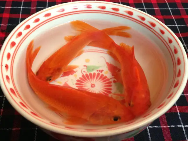 Ngày 23 Tháng Chạp Hàng Năm, Theo Tín Ngưỡng Cổ Truyền Người Dân Việt Lại Thành Kính Sắm Sửa Lễ Vật, Chuẩn Bị Mâm Cỗ Cúng Để Tiễn Ông Táo Chầu Trời.