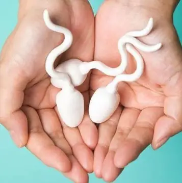 Thắt Ống Dẫn Tinh Không Ảnh Hưởng Đến Chức Năng Hoạt Động Tình ...