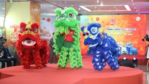 Đánh Thức Bản Sắc Chợ Lớn Cùng Nghệ Thuật Lân Sư Rồng Ngày Tết