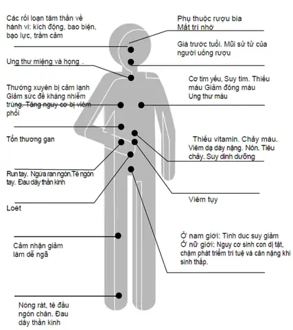 Uống Rượu Bia Không Có Ngưỡng Nào Là An Toàn