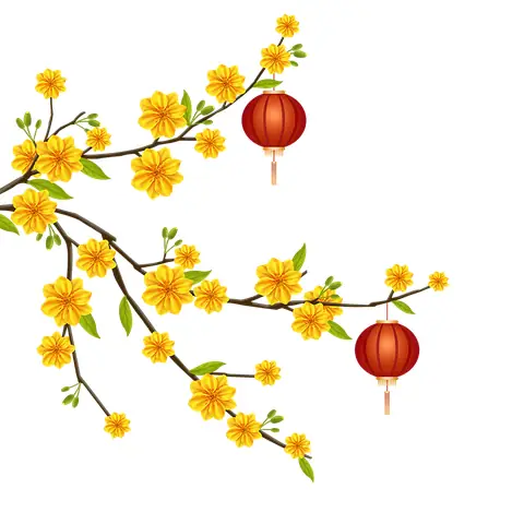 Khóa Cúng An Tâm Tượng: Nguồn Gốc, Ý Nghĩa Và Cách Thức Thực Hành Đúng