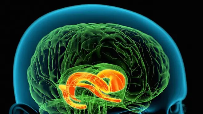 Khoa Học Giải Mã Giấc Mơ: Những Bí Ẩn Về Tiềm Thức Con Người