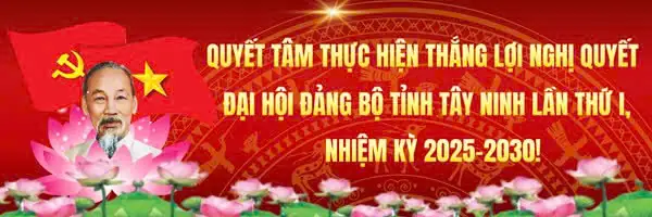 Lá Mơ Lông Và Trứng Gà: Công Dụng Tuyệt Vời Cho Hệ Tiêu Hóa Mà Bạn Chưa Biết Hết