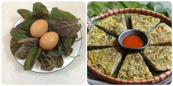 Lá Mơ Lông Và Trứng Gà: Công Dụng Tuyệt Vời Cho Hệ Tiêu Hóa Mà Bạn Chưa Biết Hết