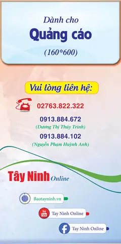 Lá Mơ Lông Và Trứng Gà: Công Dụng Tuyệt Vời Cho Hệ Tiêu Hóa Mà Bạn Chưa Biết Hết