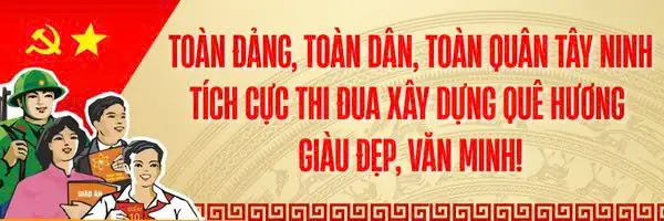 Lá Mơ Lông Và Trứng Gà: Công Dụng Tuyệt Vời Cho Hệ Tiêu Hóa Mà Bạn Chưa Biết Hết