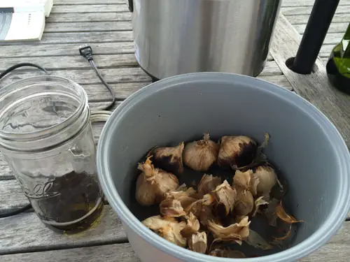 Tại Sao Nấu Cơm Bị Cháy Ở Đáy Nồi? Do Gạo Hay Do Nồi Nấu?