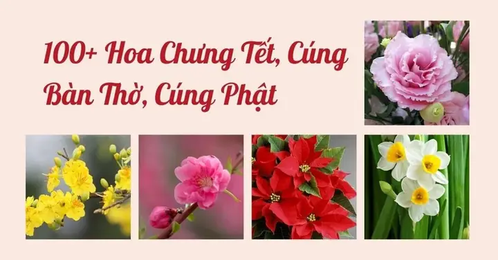 Top 10 Mẫu Lẵng Hoa Cúng Phật Đẹp, Ý Nghĩa Phù Hợp Mọi Dịp