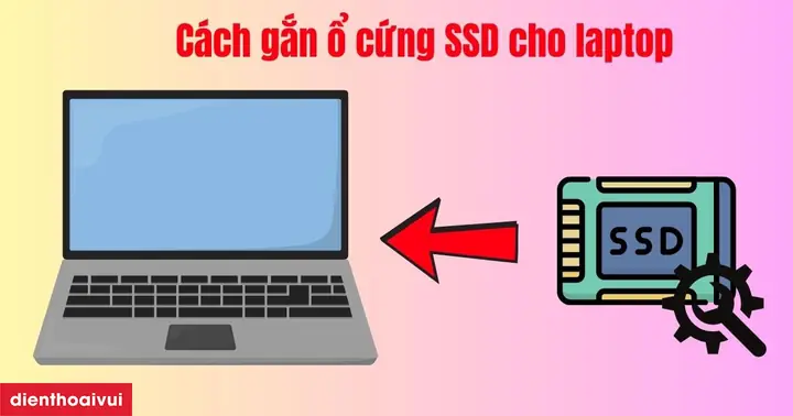 Cách Gắn Ổ Cứng Ssd Cho Laptop Tại Nhà Chỉ Vài Bước