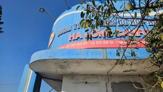 Công Ty Cổ Phần Đồ Hộp Hạ Long Hoạt Động Thế Nào Sau Khi Bị Phát Hiện 120 Tấn Thịt Lợn Nhiễm Bệnh?