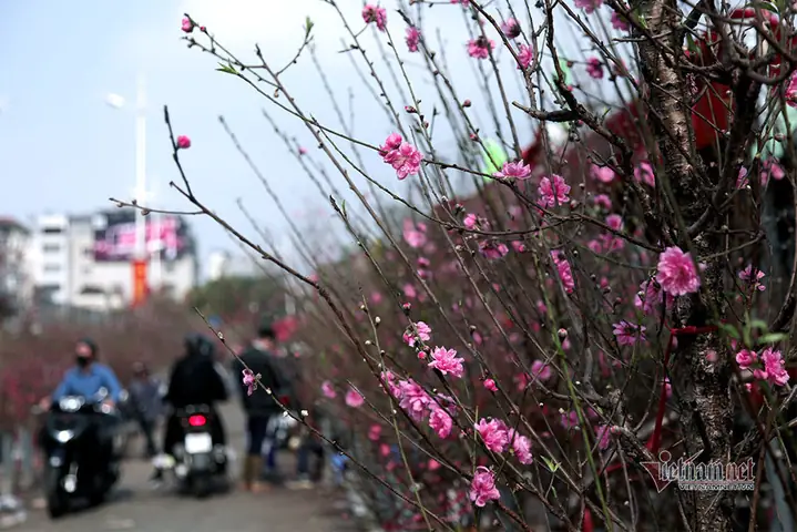 Lễ Cúng Giao Thừa Ngoài Trời Năm Giáp Thìn: Những Điều Cần Biết Để Chuẩn Bị Chu Đáo