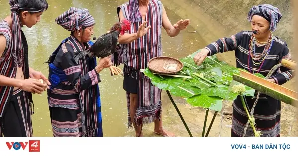Đồng Bào H'rê Tái Hiện Lễ Cúng Bến Nước Tại Làng Văn Hóa | Vov4 ...