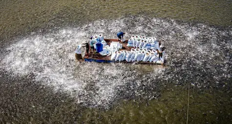 Cẩm Nang Trọn Gói Về Lễ Cúng Rằm Tháng Bảy: Nguồn Gốc, Ý Nghĩa Và Nghi Thức Chuẩn