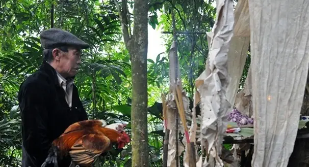 Lễ Cúng Rừng Của Người Mông Ở Khu Bảo Tồn Thiên Nhiên Nà Hẩu