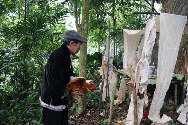 Lễ Cúng Rừng - Lời Nhắc Nhở Về Trách Nhiệm Của Con Người Với Thiên ...