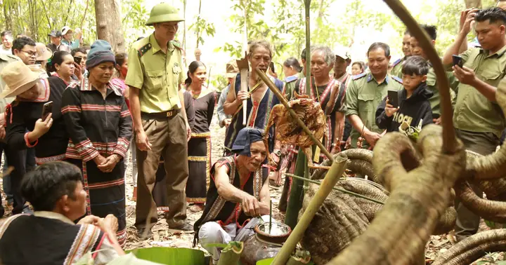 Cúng Thần Rừng - Giữ Rừng Thêm Xanh | Báo Ảnh Dân Tộc Và Miền Núi