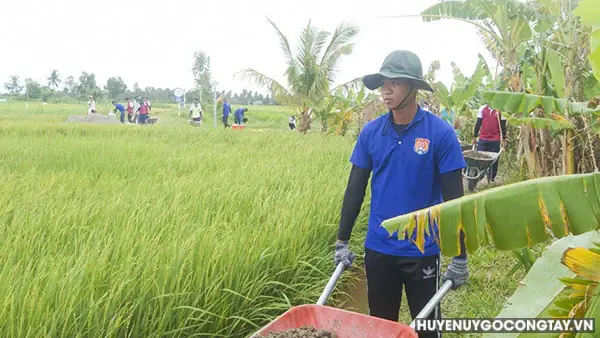 Cẩm Nang Tìm Hiểu Lễ Cúng Sơn Thần: Nguồn Gốc, Ý Nghĩa Và Nghi Thức