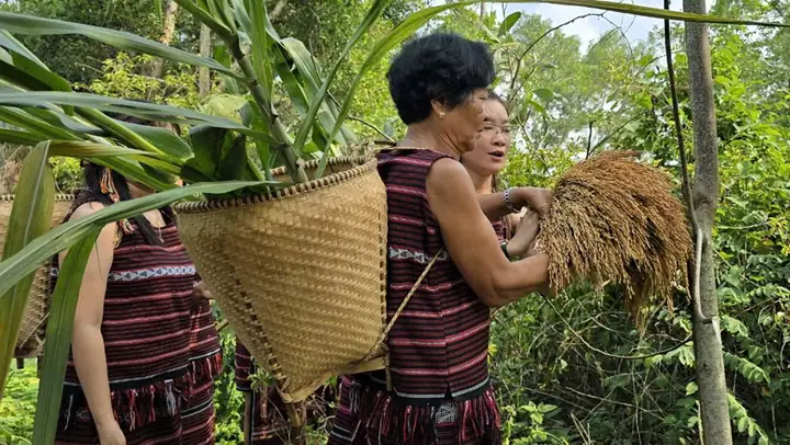 Lễ Hội Sayangva Của Người Chơ Ro Tỉnh Đồng Nai