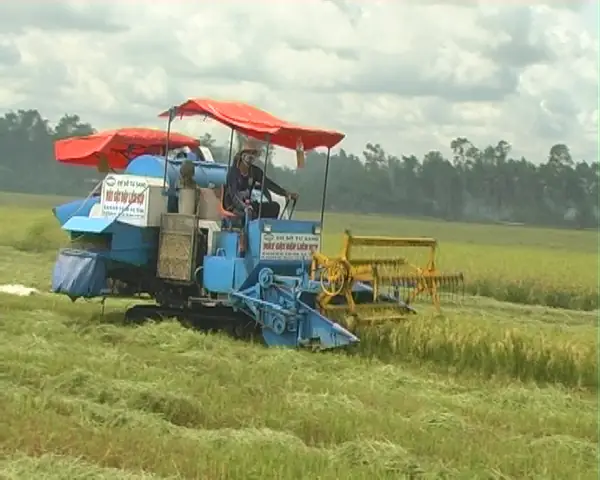 Cẩm Nang Tìm Hiểu Về Lễ Cúng Thủy Thần: Nguồn Gốc, Ý Nghĩa Và Nghi Thức Truyền Thống