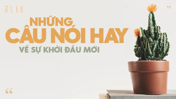 23 Câu Nói Hay Về Sự Khởi Đầu Mới | Elle Việt Nam