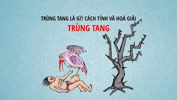 Lễ Cúng Trùng Tang: Những Điều Cần Biết Để Tránh Hại, Bình An Cho Gia Đình