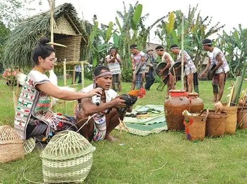 Già Làng Thực Hiện Nghi Thức Cúng. (ảnh: Internet)