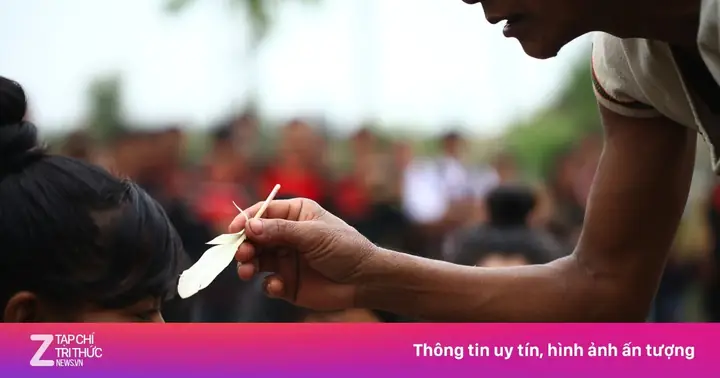 Lễ Cúng Yang Koi Ở Hà Nội | Znews.vn