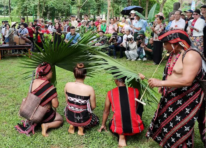 Lễ Hội Cúng Thần Rừng: Nét Văn Hóa Đặc Sắc Của Người Cơ Tu Và Ý Nghĩa Tâm Linh Sâu Sắc