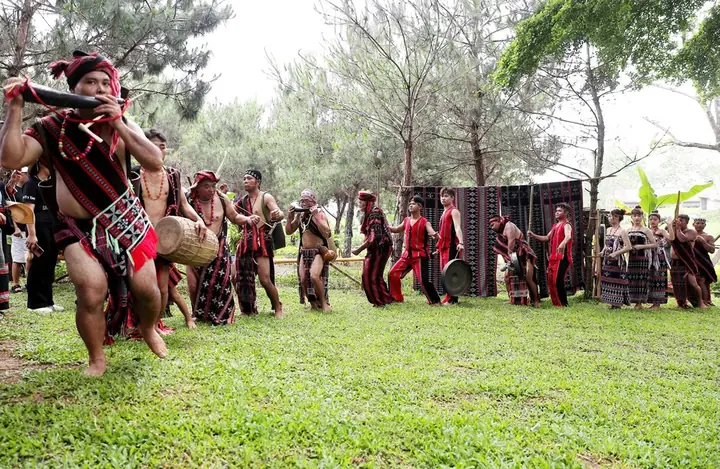 Lễ Hội Cúng Thần Rừng: Nét Văn Hóa Đặc Sắc Của Người Cơ Tu Và Ý Nghĩa Tâm Linh Sâu Sắc