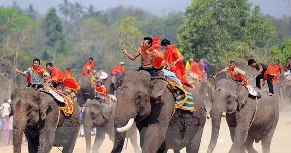 Lễ Hội Đua Voi: Nét Văn Hóa Độc Đáo Của Người Tây Nguyên