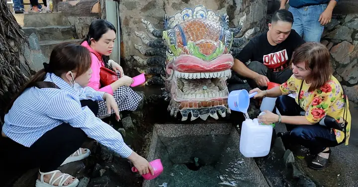 Mía Vàng 70.000 Đồng/cặp Hút Khách Mua Cúng Vía Ngọc Hoàng