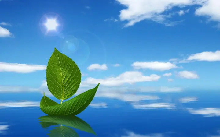 66 Lời Phật Dạy Về Cuộc Sống