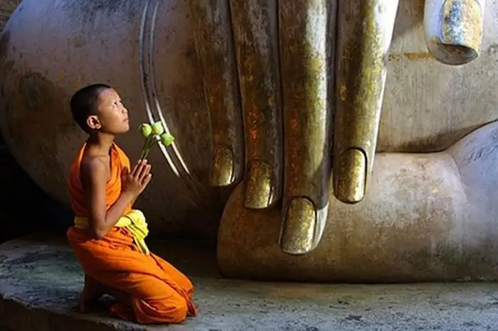 Lời Phật Dạy Về Nhân Quả Báo Ứng - Báo Tri Thức & Cuộc Sống