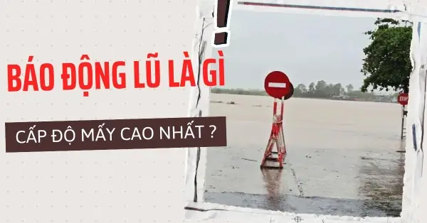 Các Cấp Độ Báo Động Lũ Và Cách Ứng Phó An Toàn